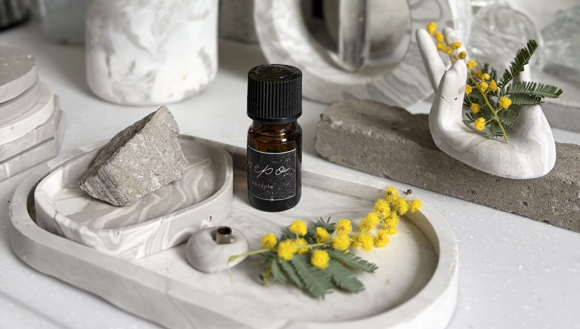 出展スケジュール・お取り扱い店舗